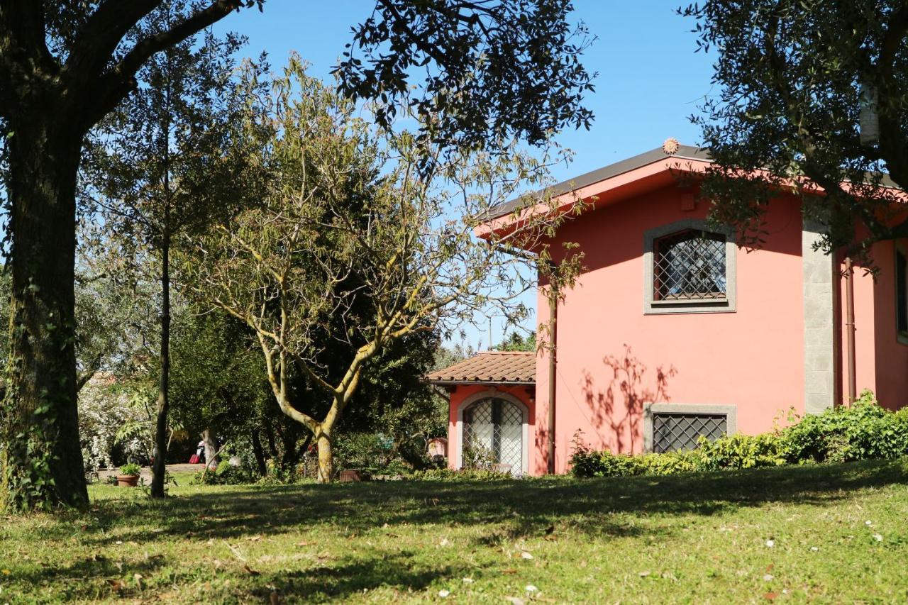 B&B Ai Glicini - Castelli Romani Marino Eksteriør billede