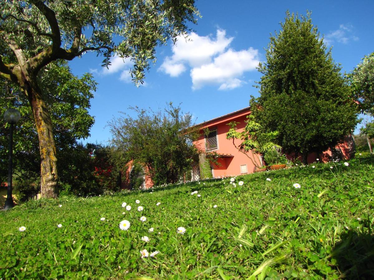B&B Ai Glicini - Castelli Romani Marino Eksteriør billede