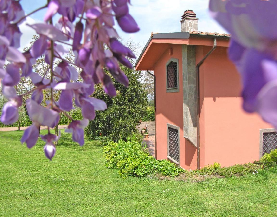 B&B Ai Glicini - Castelli Romani Marino Eksteriør billede