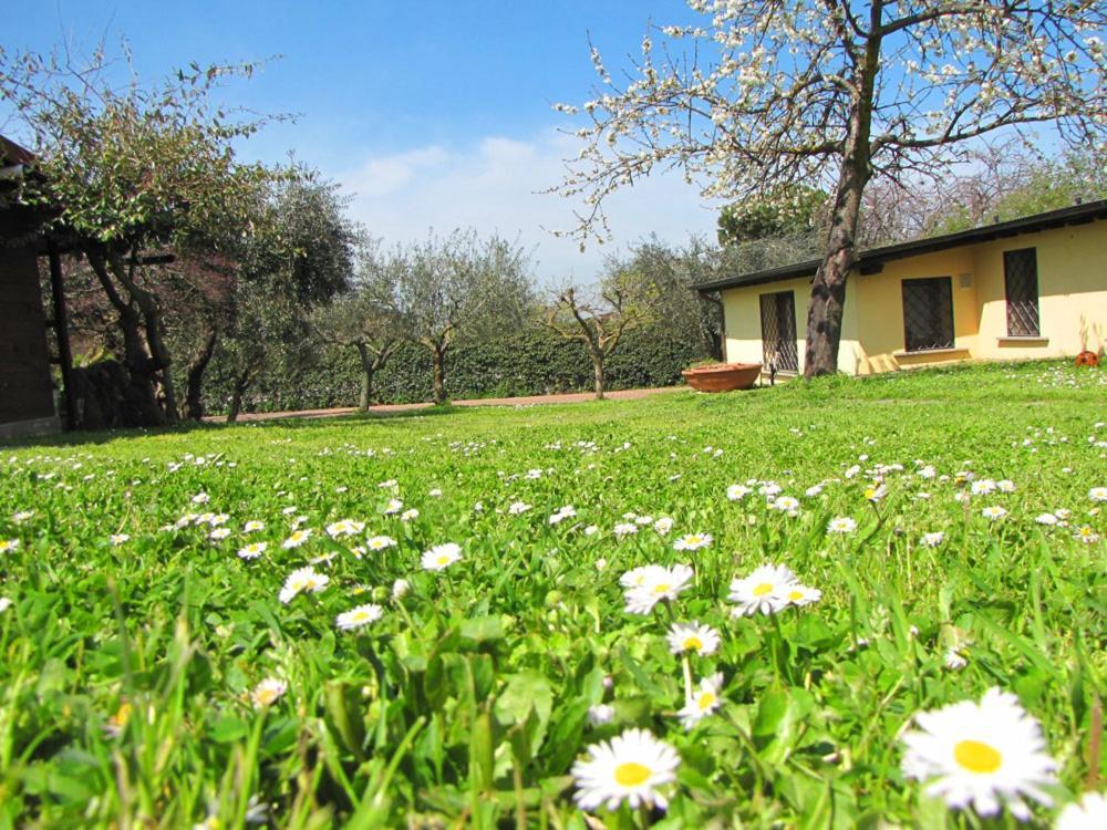B&B Ai Glicini - Castelli Romani Marino Eksteriør billede
