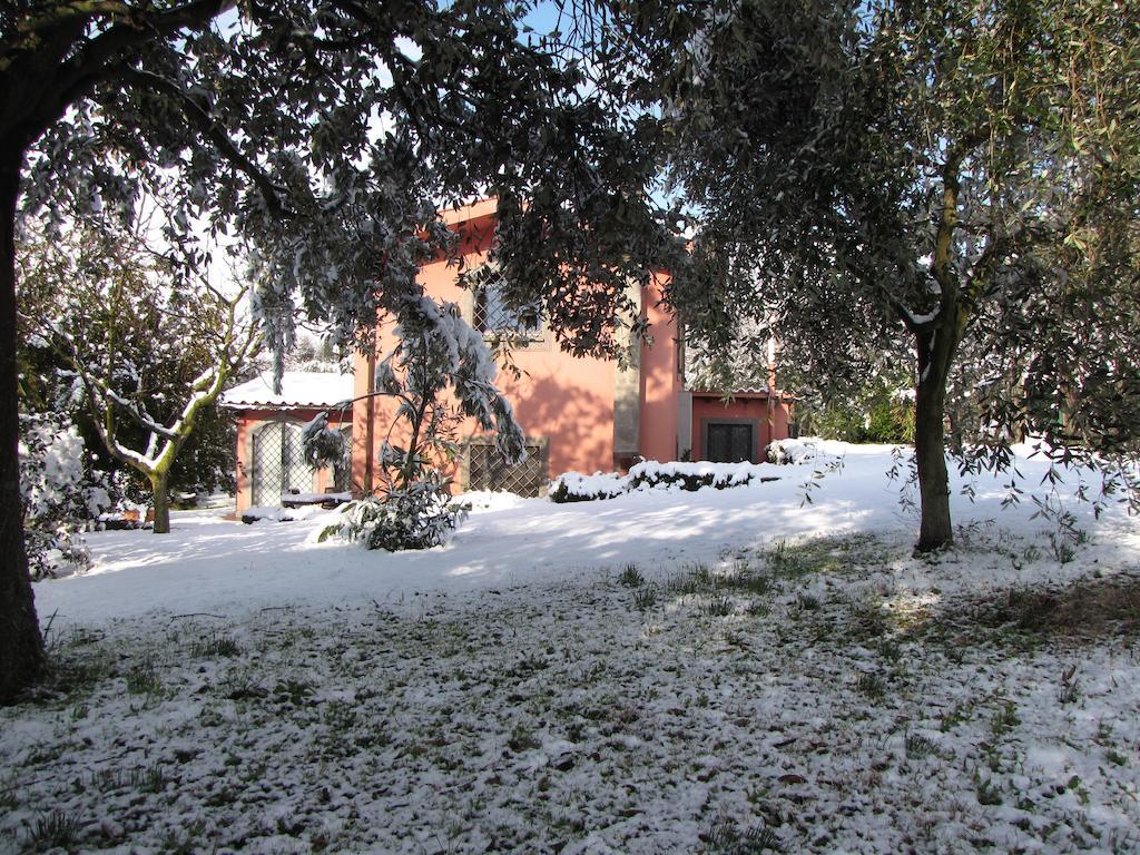 B&B Ai Glicini - Castelli Romani Marino Eksteriør billede