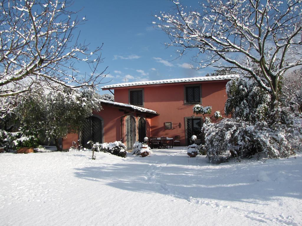 B&B Ai Glicini - Castelli Romani Marino Eksteriør billede